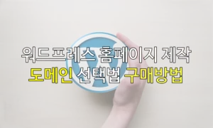도메인